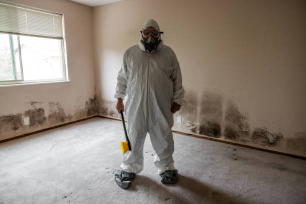 Best HVAC Mold Inspection and Cleaning  in Laguna Park, TX